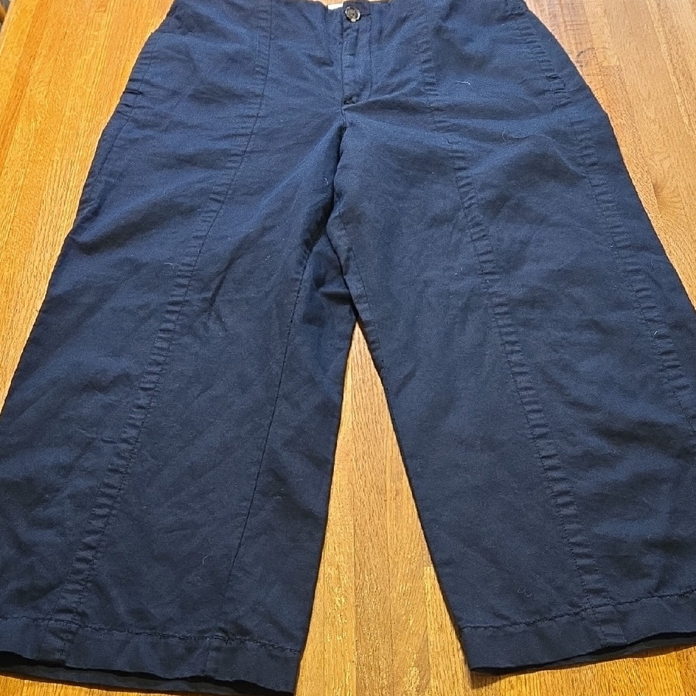 LOFT Women 14 Navy Blue Wide Leg High Waist Pleat 4 Pocket Casual Dress‎ Pants